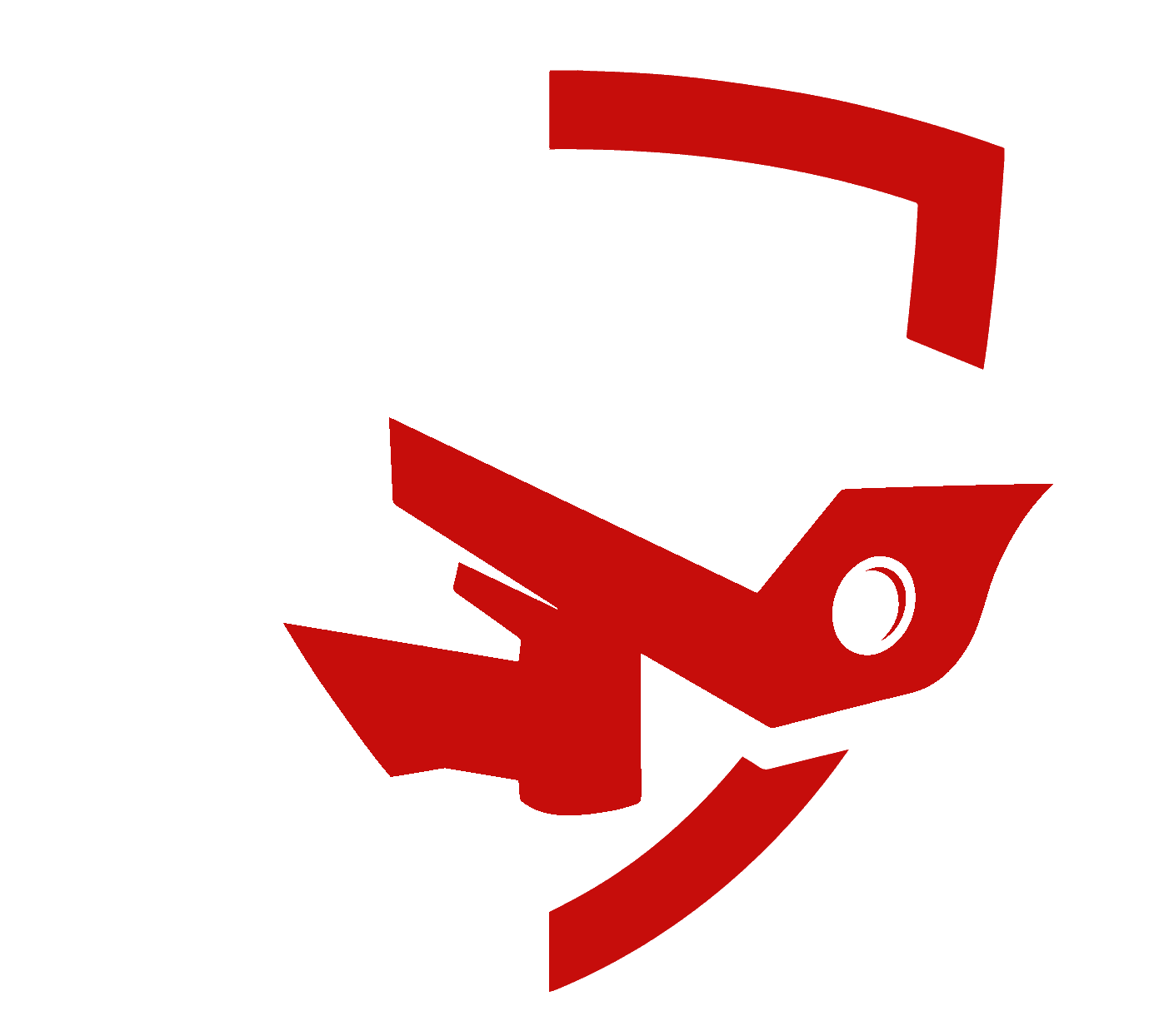 Logo de AD CAM, installateurs de systèmes de surveillance près d'Orléans